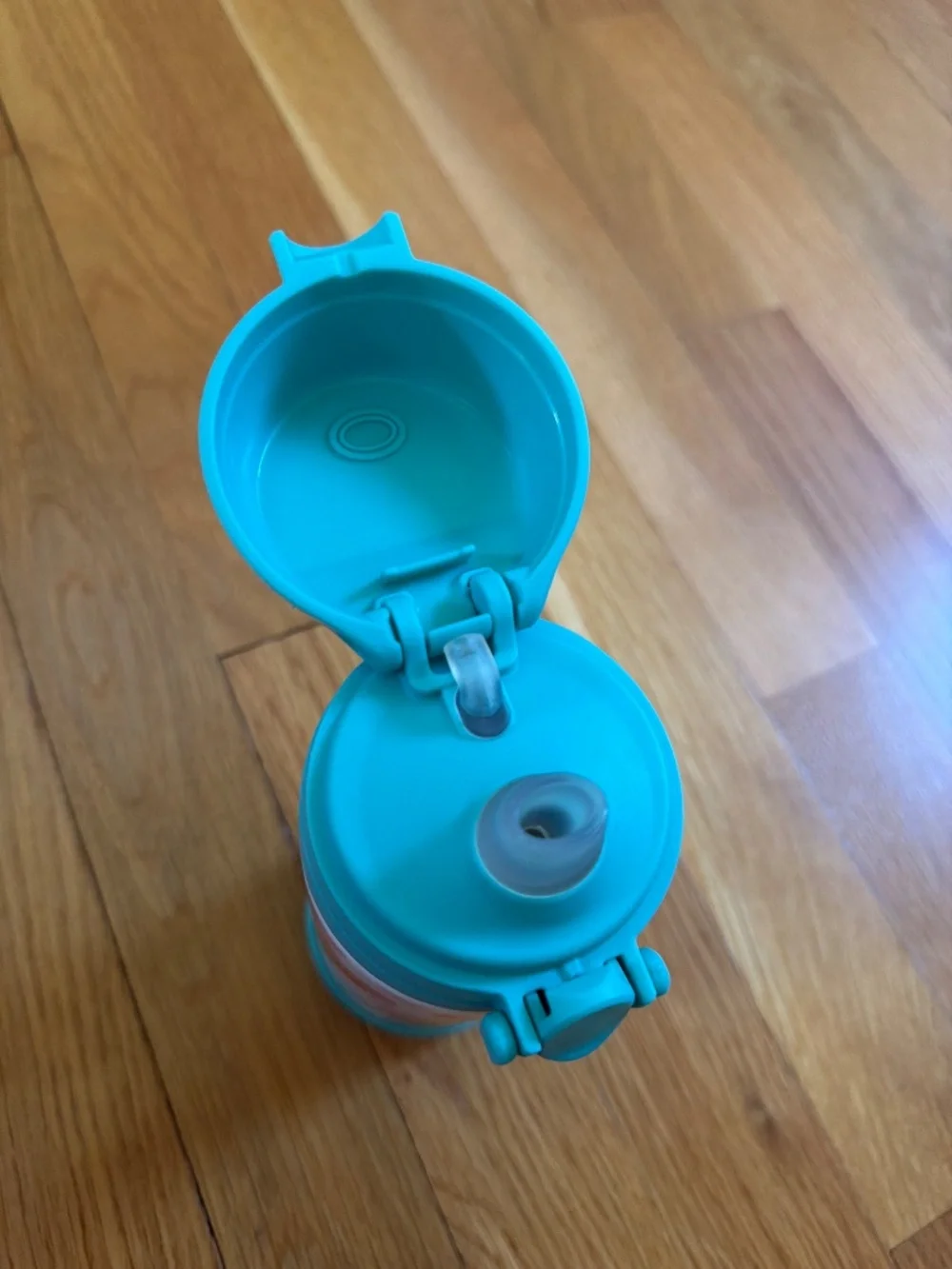 Pottery barn kids rainbow hearts water bottle